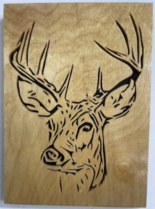 Buck Deer