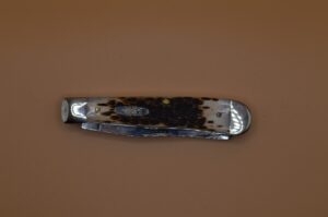 CASE NO-00164 Amber Trapper
