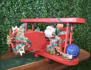 Airplane    with Elf