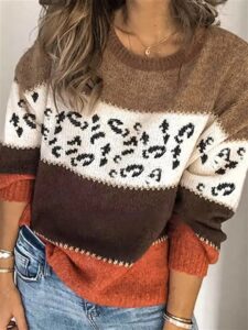 Color Block Leopard Sweater