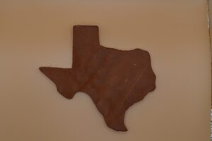 Leather Texas Coaster