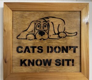 Cats dont know sit