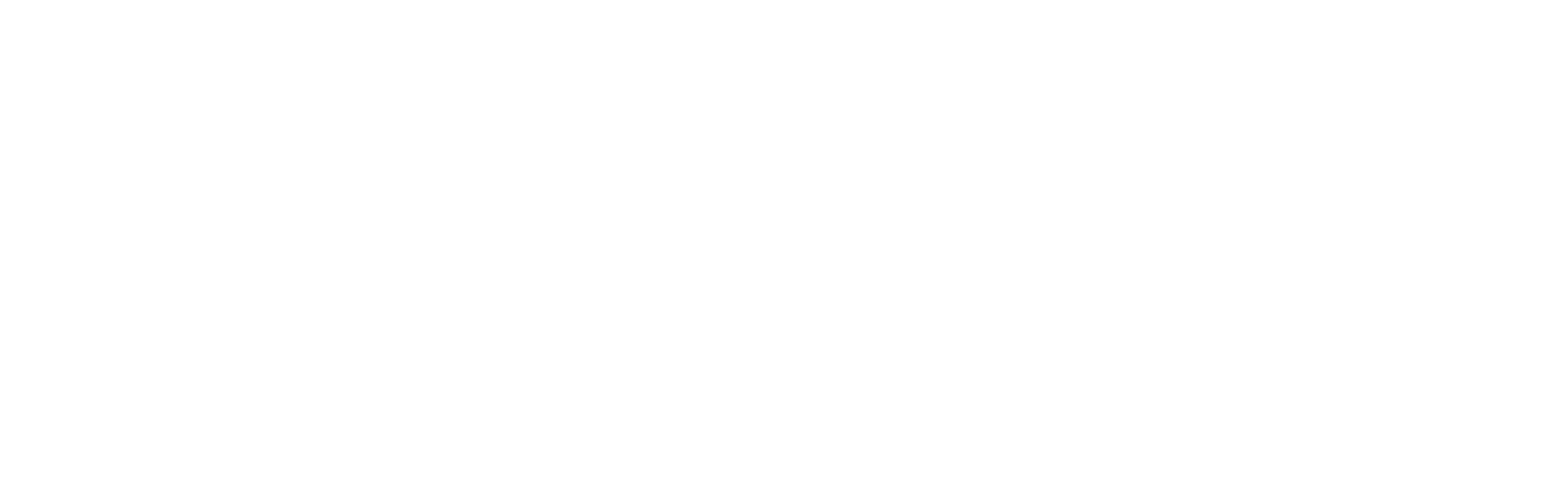 travis-Stick Shift Nation Logo White