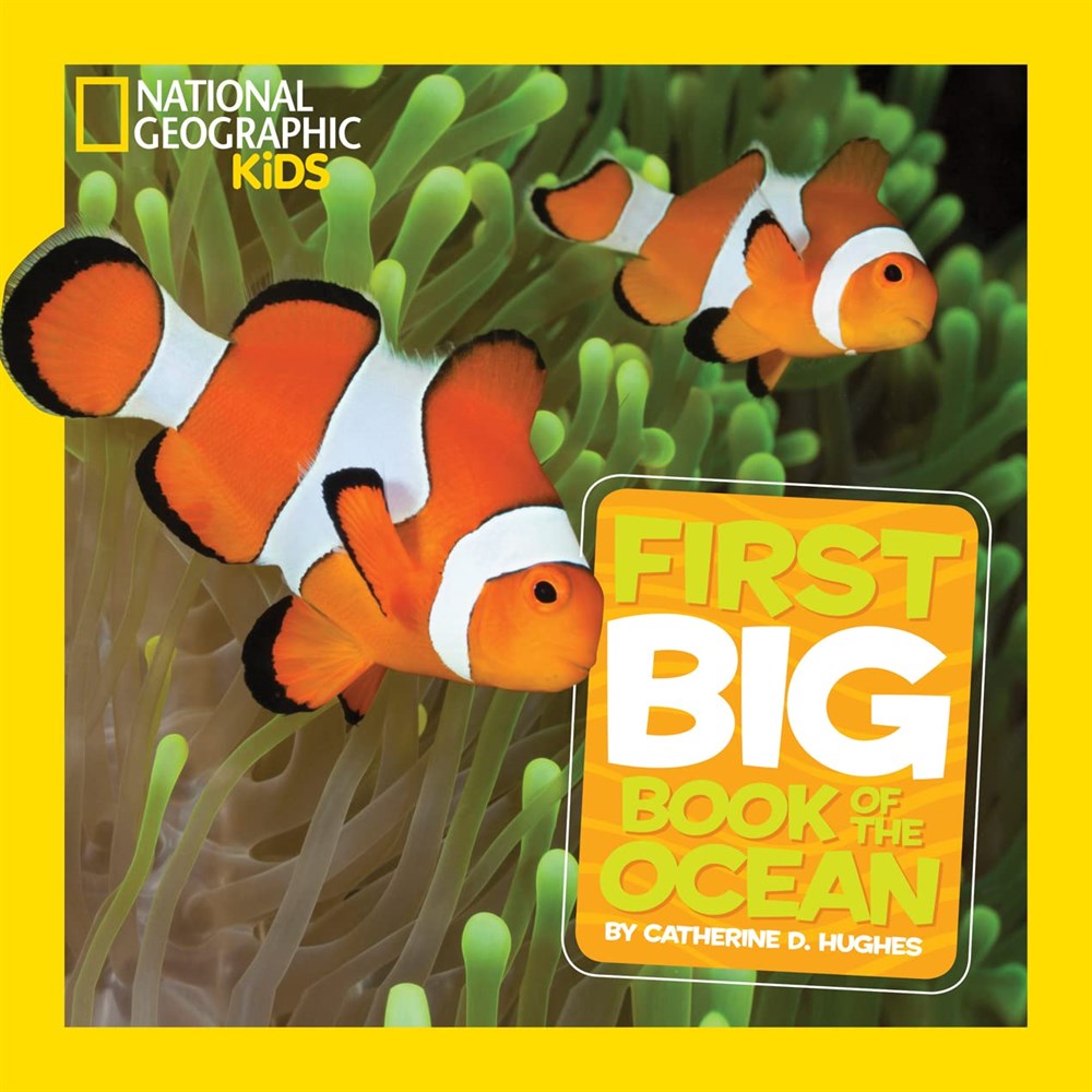 National Geographic Little Kids First Big Book of the Ocean by Catherine D. Hughes 2013 Hardcover