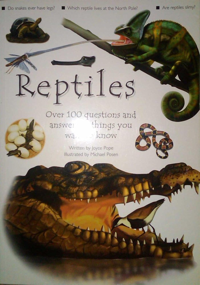 Reptiles: Over 100 Questions and Answers to Things You Want To Know by Joyce Pope Paperback