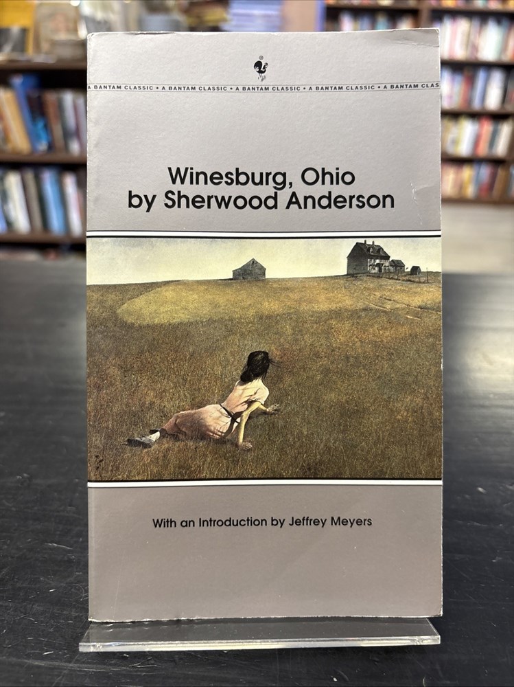 Winesburg, Ohio by Sherwood Anderson 1995 Bantam Paperback
