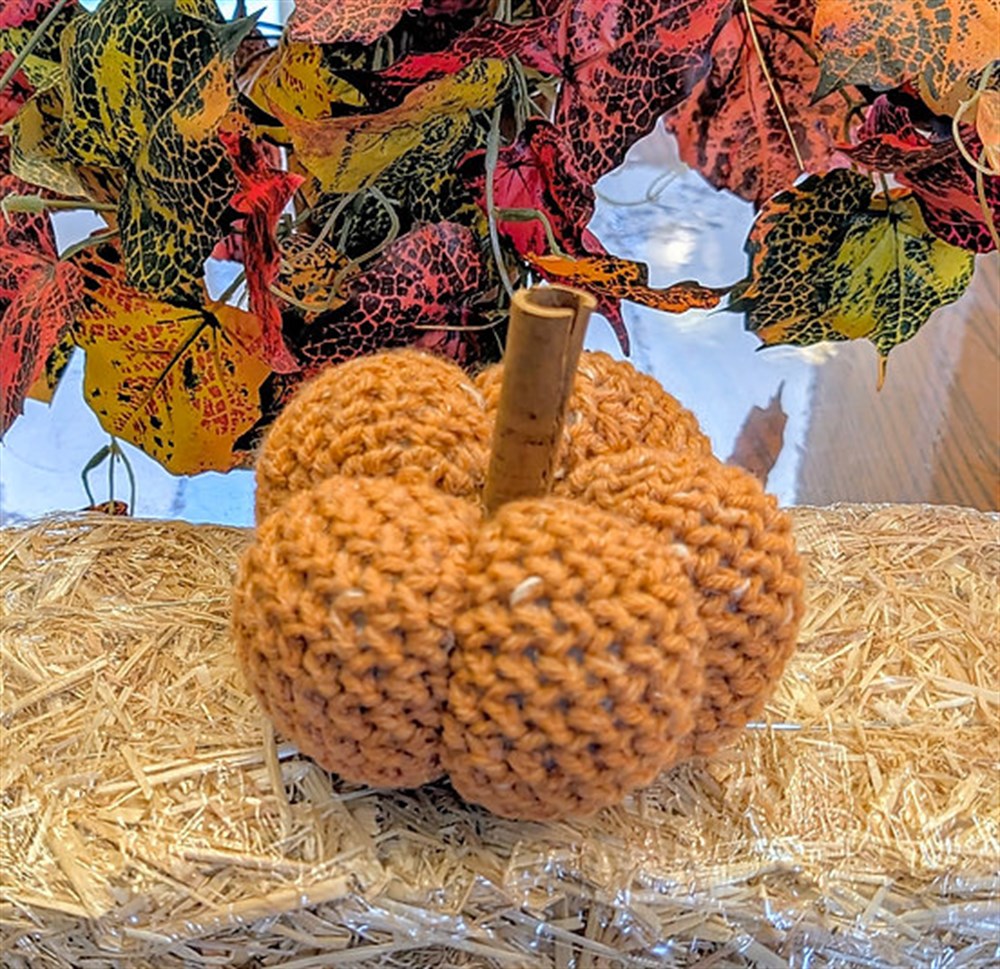 Harvest Pumpkin
